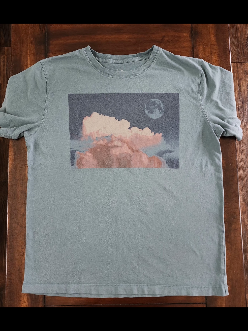 Men's Cloud Graphic Crew Tee - Sage Blue with Pink Print